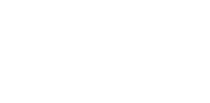 25 + years in Business